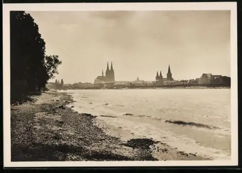 AK Köln am Rhein, Blick vom Messegelände auf Dom und St. Kunibert