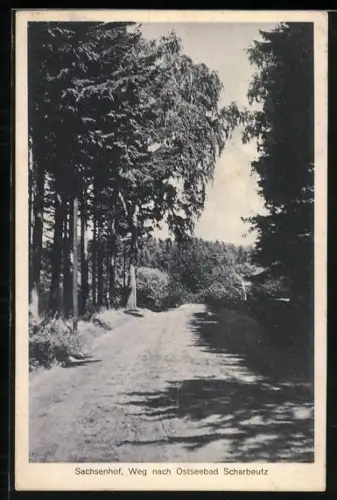 AK Sachsenhof, Weg nach Ostseebad Scharbeutz