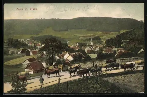 AK Zella St. Blasii, Ortsansicht mit Viehtrieb und Kirche