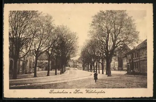 AK Gandersheim a. Harz, Wilhelmsplatz