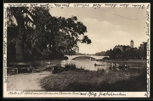 AK Halle a. S., Blick von der Spitze der Peissnitz-Insel