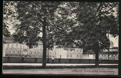 AK Oranienbaum, Herzogliches Schloss
