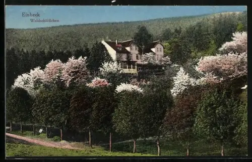 AK Einbeck, Waldschlösschen