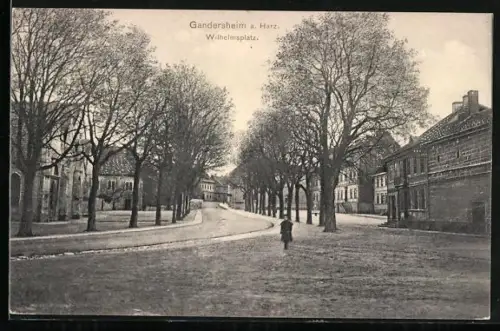 AK Gandersheim a. Harz, Wilhelmsplatz