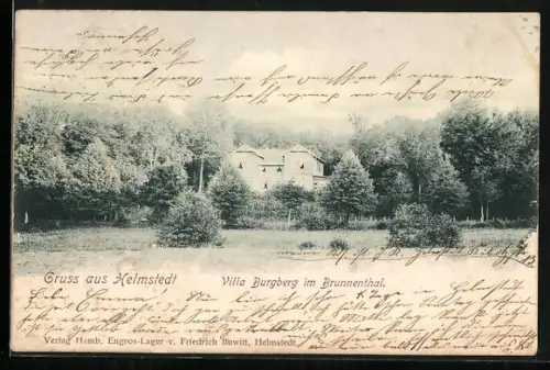 AK Helmstedt, Villa Burgberg im Brunnenthal