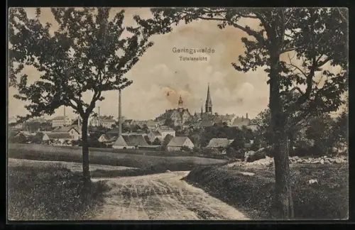 AK Geringswalde, Totalansicht