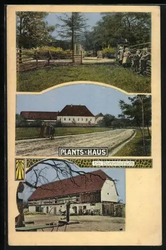 AK Dommitzsch, Plants-Haus, Gebäudeansichten