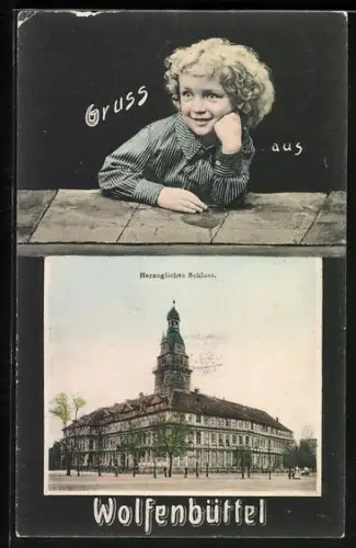 Grusskarten-AK Wolfenbüttel, Herzogliches Schloss, Totalansicht
