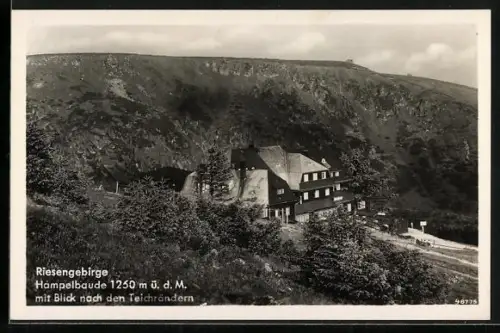 AK Hampelbaude, Berghütte mit fernem Ausblick