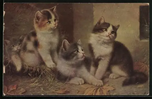 AK Vier junge Katzen in einem Winkel an der Hauswand