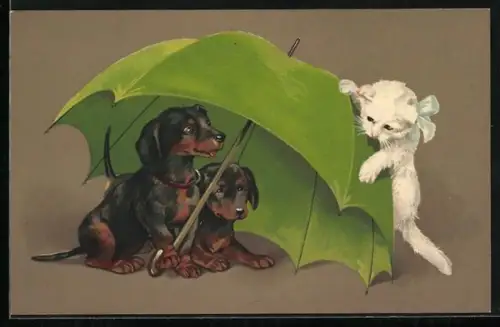 AK Dackel unter Regenschirm und weisse Katze