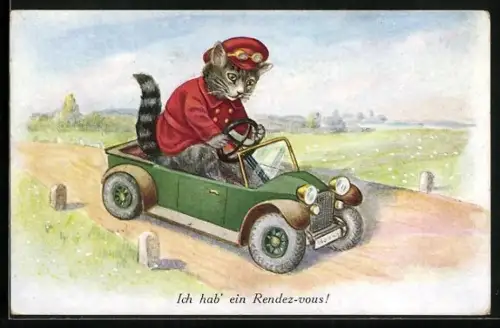 AK Katze als Autofahrer macht die Landstrasse unsicher