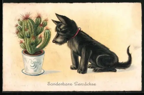 AK Sonderbare Gewächse, Terrier vor einem Kaktus