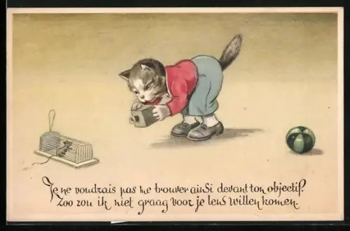 AK Katze in Knickerbockern fotografiert Maus in der Falle