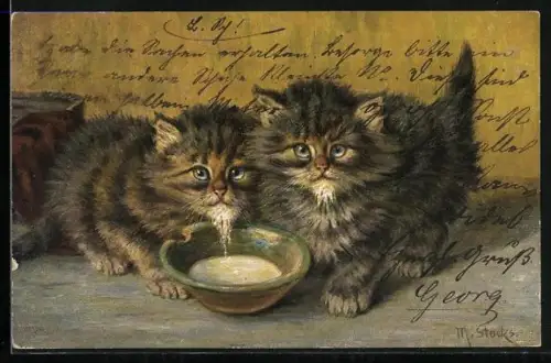 AK Zwei kleine Katzen mit Milchschale