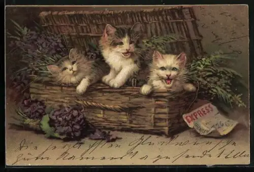 Künstler-AK Korb mit Katzen und Veilchen