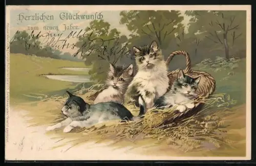 Lithographie Korb mit jungen Katzen in Auenlandschaft