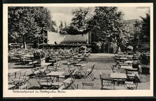 AK Berlin, Gartenrestaurant im Zoologischer Garten, Budapester Strasse 20