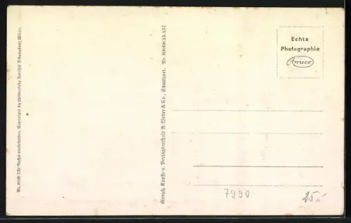 AK Friedrichshafen a. B., Zeppelin mit  auf dem Leitwerk über dem Ort