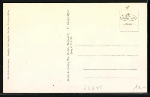 AK Friedrichshafen a. B., Graf Zeppelin in voller Fahrt, Flugzeugaufnahme