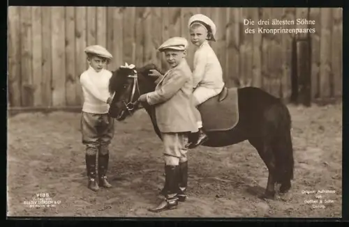 AK Die drei ältesten Söhne des Kronprinzenpaares, Pony