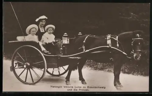 AK Herzogin Viktoria Luise von Braunschweig und die Prinzen