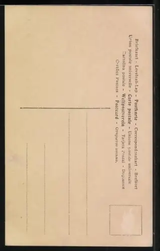 AK Königin Maria von Rumänien in einer Prachtrobe