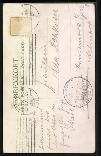 AK Dronning Maud & Kong Haakon VII., Königspaar von Norwegen und Fahne