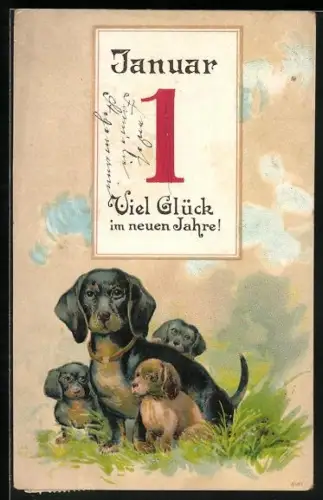 AK Dackel mit Jungen unter einem Kalenderblatt, 1. Januar, Neujahr