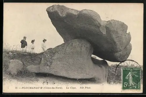AK Ploumanach /Côtes-du-Nord, Le Cépé