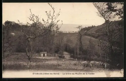 AK Étables /Côtes-du-Nord, La Grève du Moulin de la Vallée