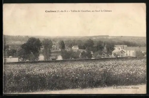 AK Caulnes /C.-du-N., Vallée de Couëllan, au fond le Château