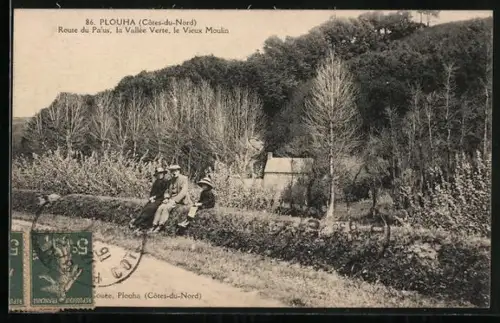 AK Plouha /Côtes-du-Nord, Route du Palus, la Vallée Verte, le Vieux Moulin