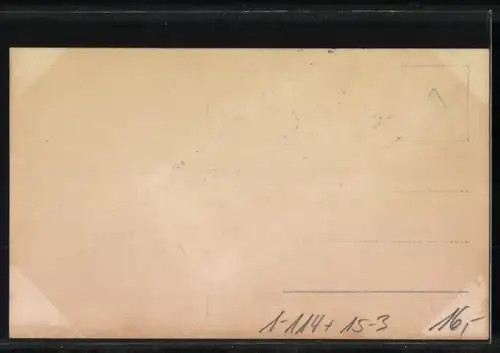 AK Kronprinzessin Cecilie beglückwünscht einen erfolgreichen Marineflieger