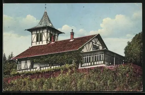 AK Rogaska Slatina, Bellevue