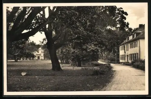 Foto-AK Schönlanke /Ostbahn, Schule in Behle