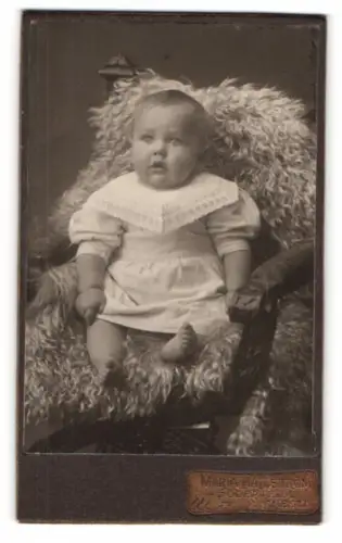Fotografie Maria Hallström, Södertälje, Säugling auf einem Stuhl mit Fell