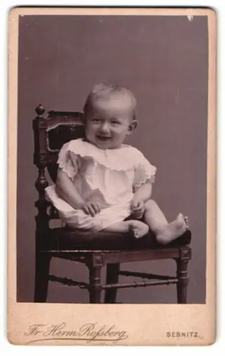 Fotografie Fr. Herm. Rossberg, Sebnitz, Böhmische Strasse 318, Porträt eines kleinen Kindes auf Stuhl