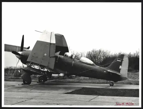 Fotografie Flugzeug Hawker Sea Fury T205 D-COCO, Deutsche Luftfahrt Beratungsdienst - DLB, Schiessplatzstaffel in Lübeck