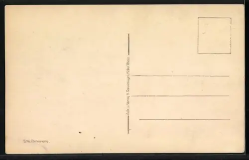 AK Köln a. Rh., Hängebrücke