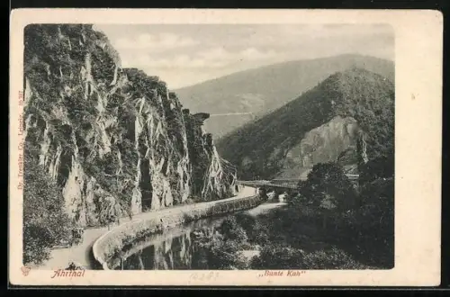 AK Bunte Kuh /Ahrtal, Panorama