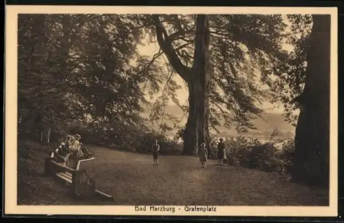 AK Bad Harzburg, Grafenplatz