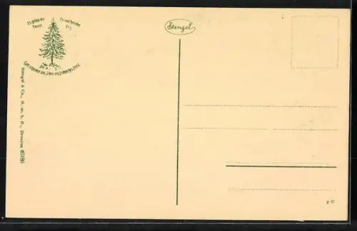 AK Bad Harzburg, Grafenplatz