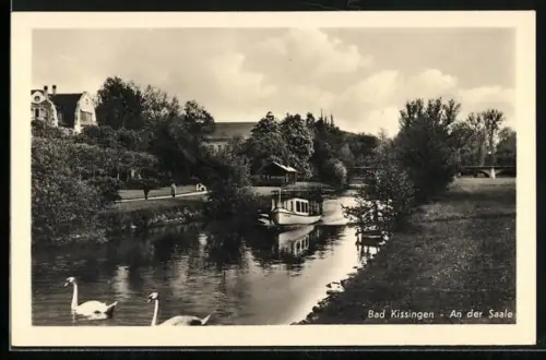AK Bad Kissingen, An der Saale, Flusslandschaft mit Ausflugsboot und Schwänen