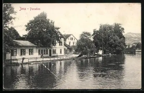 AK Jena, Paradies, Flussufer mit Gebäuden und Bäumen