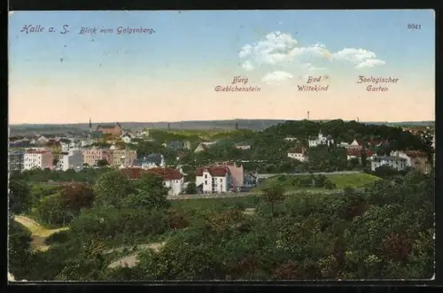 AK Halle a. S., Blick vom Galgenberg, Burg Giebichenstein, Bad Wittekind, Zoologischer Garten