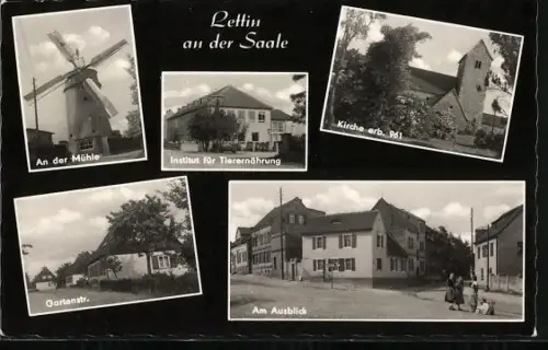 AK Lettin an der Saale, An der Mühle, Institut für Tierernährung, Kirche erb. 961