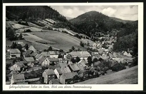 AK Sieber im Harz, Blick vom oberen Promenadenweg