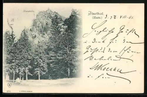 AK Ilsenburg /Harz, Ilsetal, Ilsetein