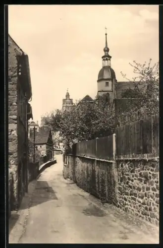 AK Colditz /Sa., Blick auf Kirche und Schloss